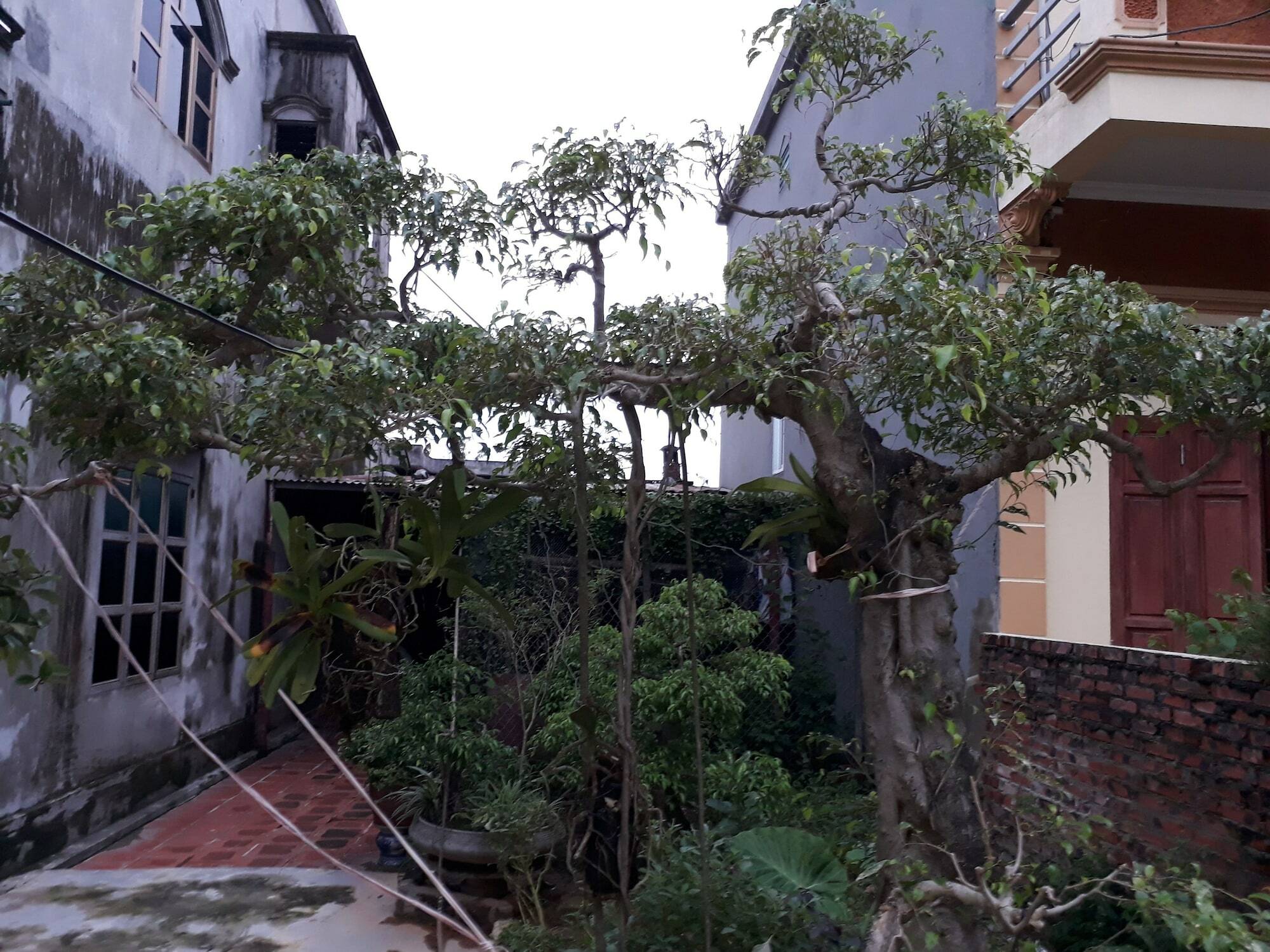 Tam Coc White Swan Homestay Ninh Bình Ngoại thất bức ảnh